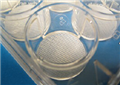 3D Insert-PS（聚苯乙烯3D培养支架培养板）